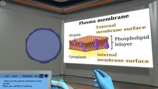 Comparing Bacterial Structures