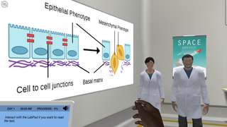 CRISPR-Cas applied to TGF-beta induced EMT