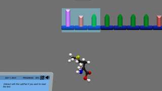 Introduction to Protein Synthesis