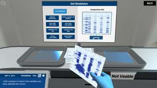 SDS-PAGE: Separating proteins by molecular weight