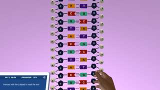 DNA: Structure and function