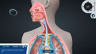 Anatomy of the Respiratory System: Help rebuild a broken system